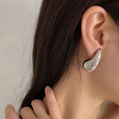 Women Jewelry Accessory Earrings